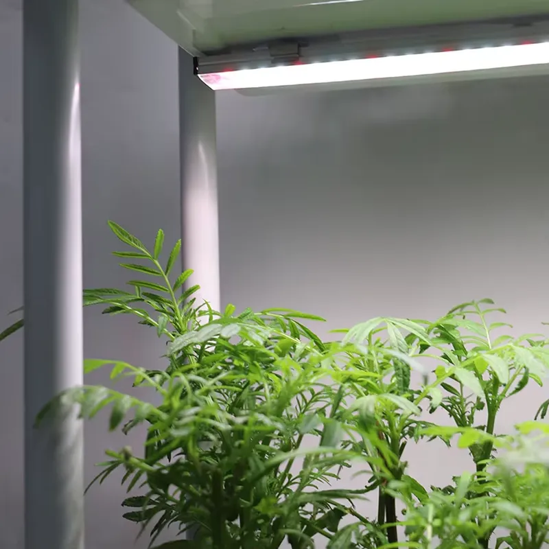 Self-Watering Planter - กล่องปลูกต้นไม้แบบเคลื่อนย้ายได้ 3 ชั้น พร้อมระบบรดน้ำอัตโนมัติ ระบบปลูกพืชสมุนไพรในร่มพร้อมไฟส่องสว่าง