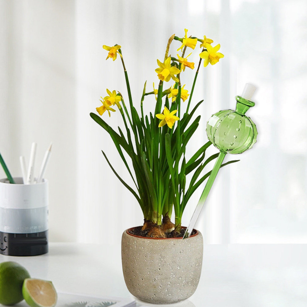 Automatic Plant Waterer - กระถางรดน้ำต้นไม้อัตโนมัติสำหรับใช้ในร่มและกลางแจ้ง ความจุขนาดใหญ่ กระถางรดน้ำตกแต่งสวน ระบบลูกโลก