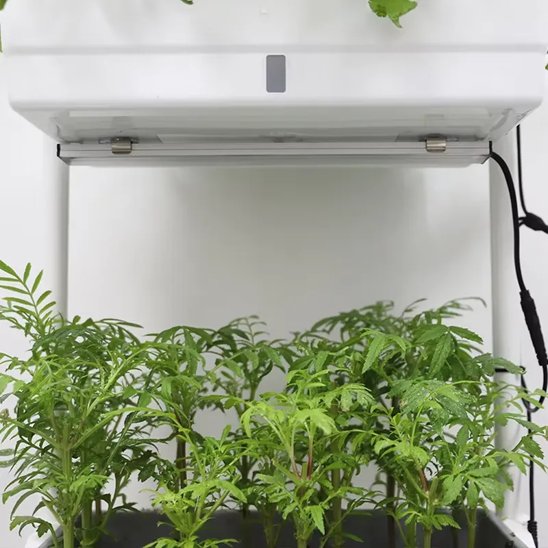กล่องปลูกต้นไม้แบบเคลื่อนย้ายไ - Self-Watering Planter บทวิจารณ์และราคา