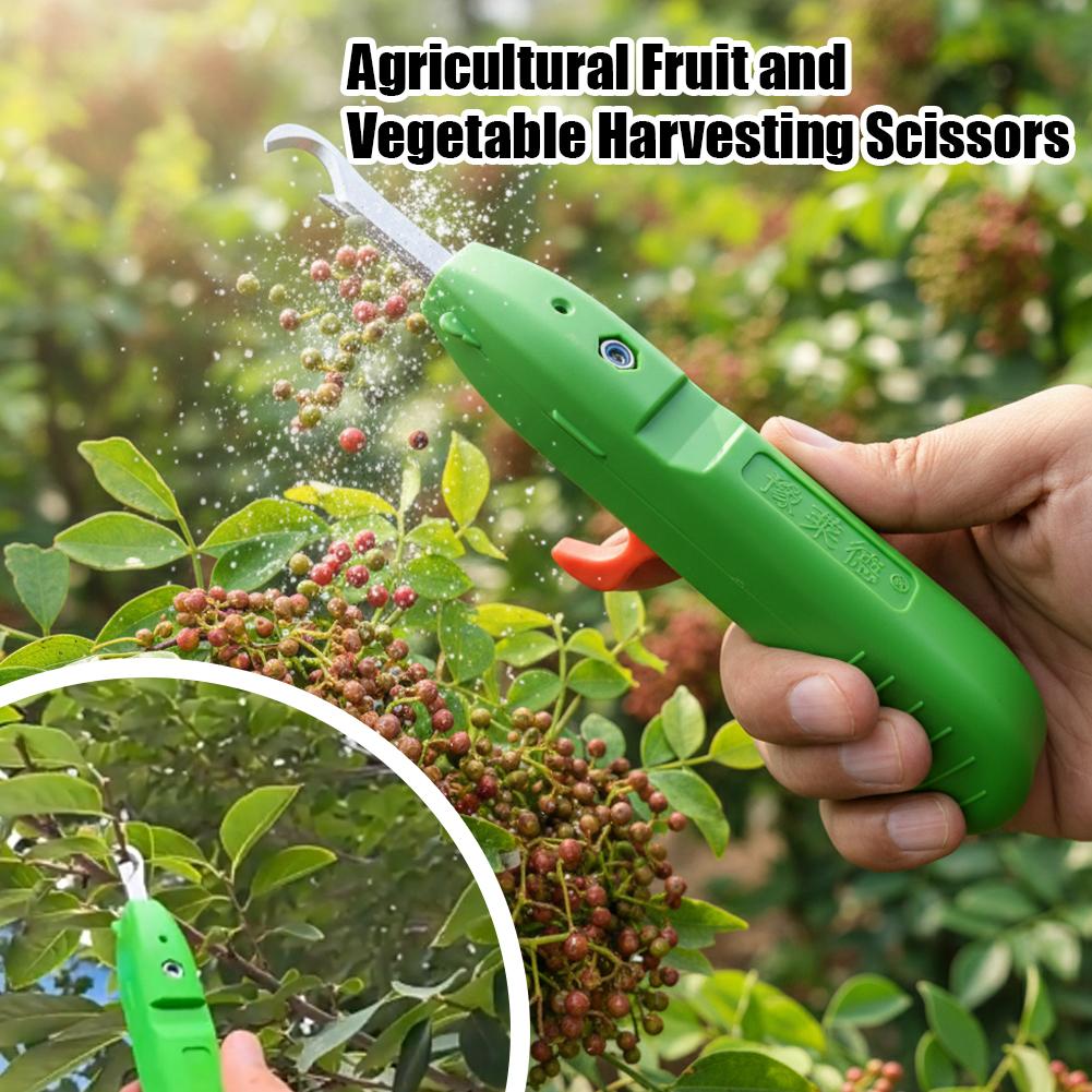 กรรไกรตัดผลไม้และผัก กรรไกรตัด - Gardening Tools Vegetables บทวิจารณ์และราคา