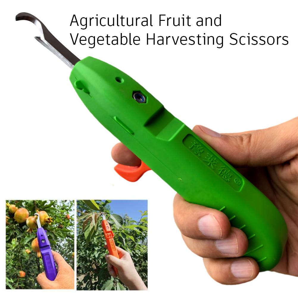 เครื่องมือตัดแต่งกิ่งอเนกประสง - Gardening Tools Vegetables บทวิจารณ์และราคา