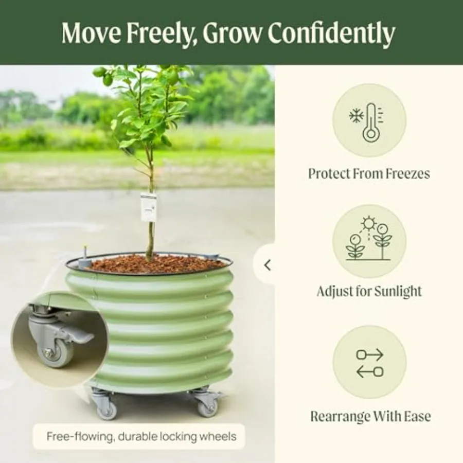 กระถางปลูกต้นไม้ทรงกลมแบบมีระบ - Self-Watering Planter บทวิจารณ์และราคา