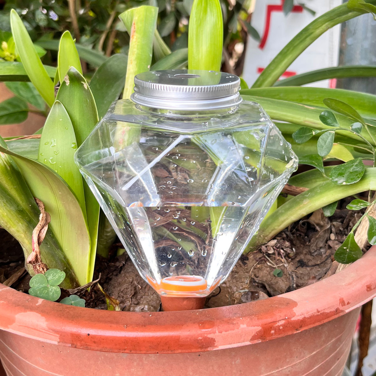 เครื่องรดน้ำต้นไม้พลาสติกน่ารั - Automatic Plant Waterer บทวิจารณ์และราคา