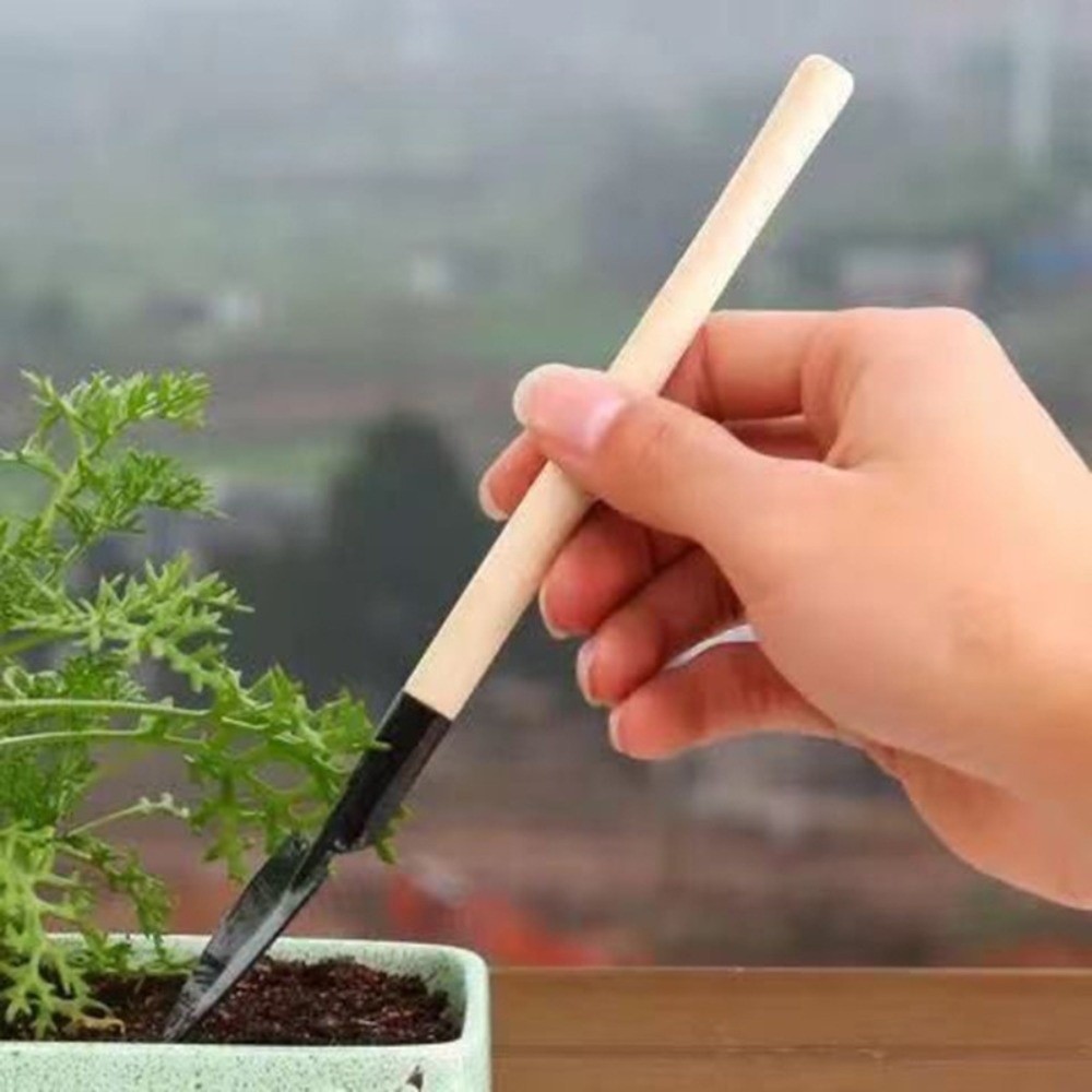 ชุดเครื่องมือปลูกต้นไม้ขนาดเล็ - Spade Digging Fork บทวิจารณ์และราคา