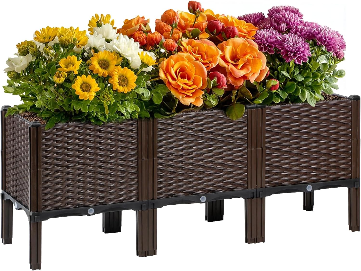 กระถางปลูกต้นไม้หวายสำหรับสวนก - Self-Watering Planter บทวิจารณ์และราคา